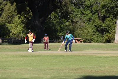 DSC_2334 (Large).JPG